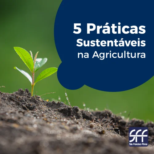 5 práticas sustentáveis na agricultura