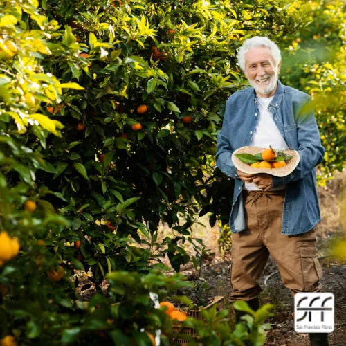Plantio na Primavera: benefícios de cultivo trazidos pela estação