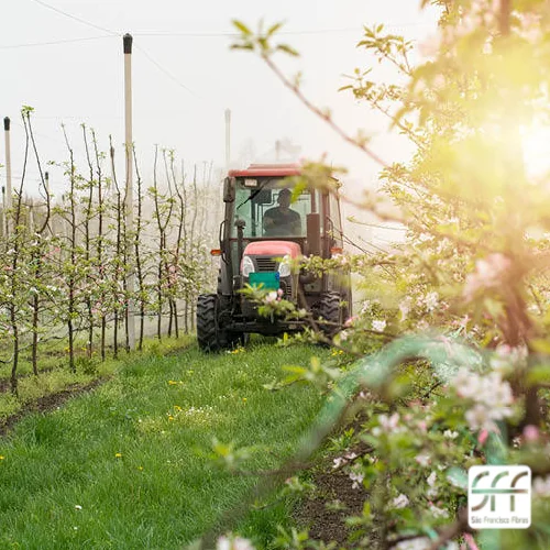 Varetas de fibra são essenciais para cultivo na primavera