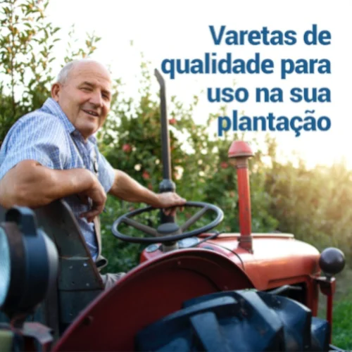 Varetas de qualidade para uso na sua plantação