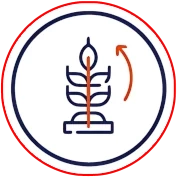 Vareta-para-Escoras-e-Tutoramento Ícone de Caminhão representando Varetas para Colhedoras de Café